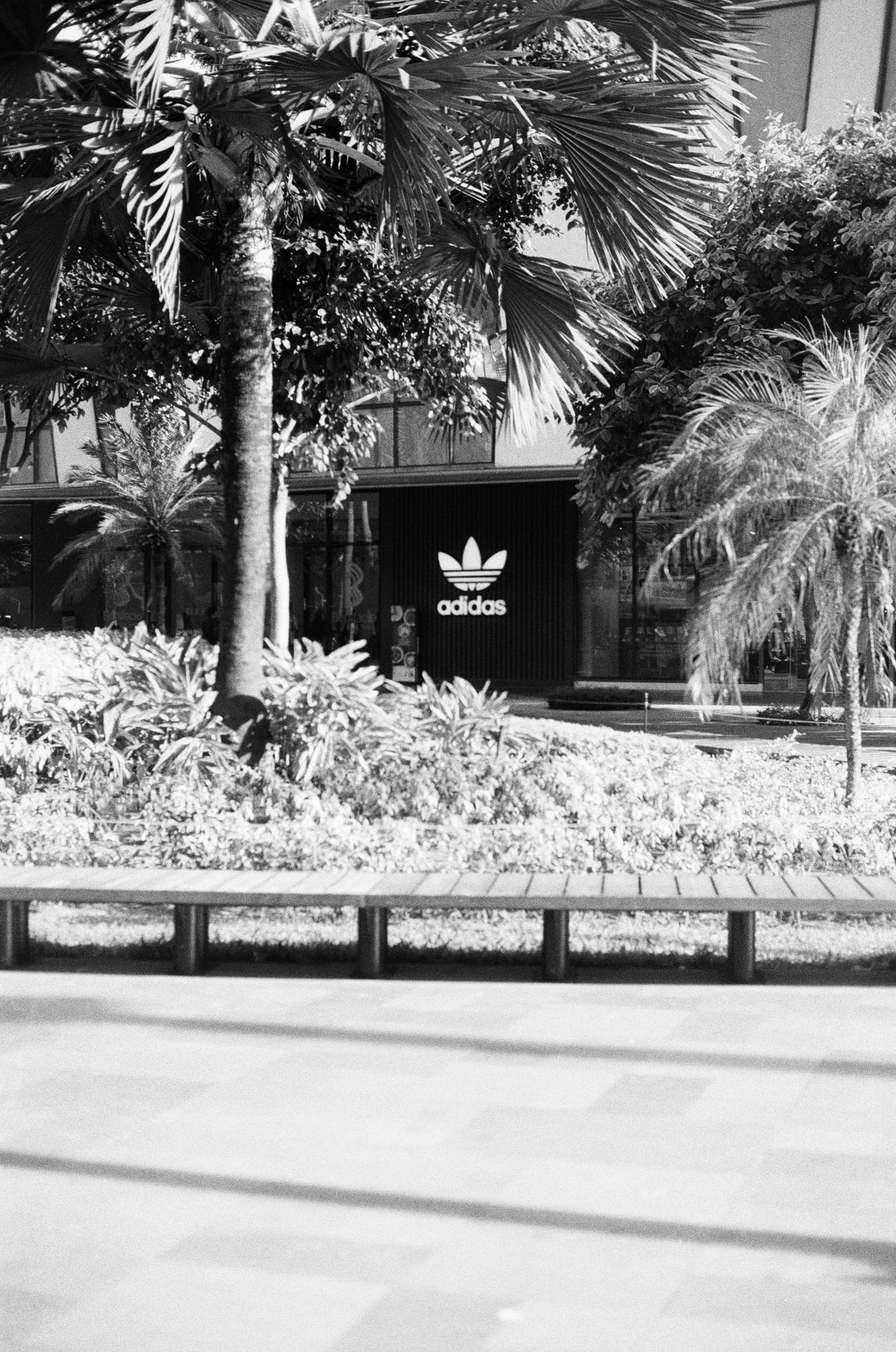adidas
